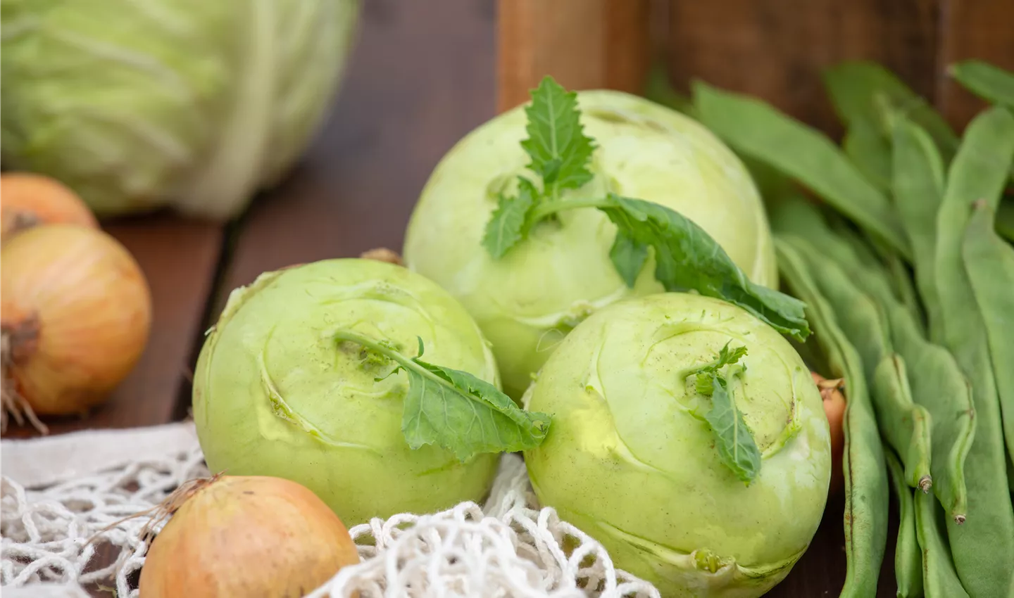 Kräuter und Gemüsepflanzen kaufen bei Garten Sauer