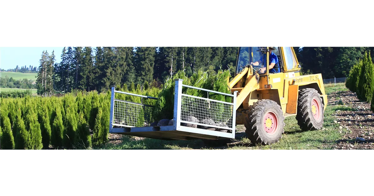 Unsere BaumschulPflanzen kaufen bei Garten Sauer in Murnau