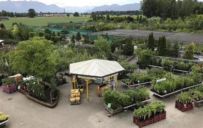 Ihre Gartenbaumschule Sauer in Murnau Garten Sauer