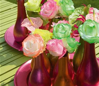 Farbenmeer im Sommer: die Top 8 der Sommerblumen