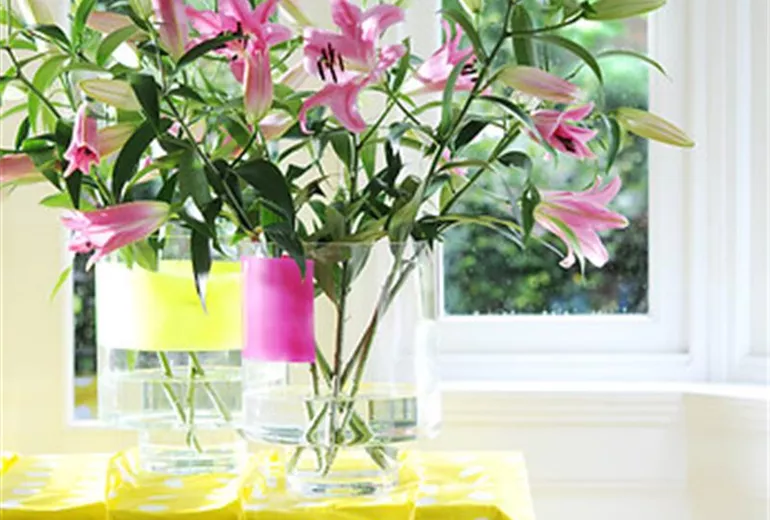 210350_48e91 210350_48e91