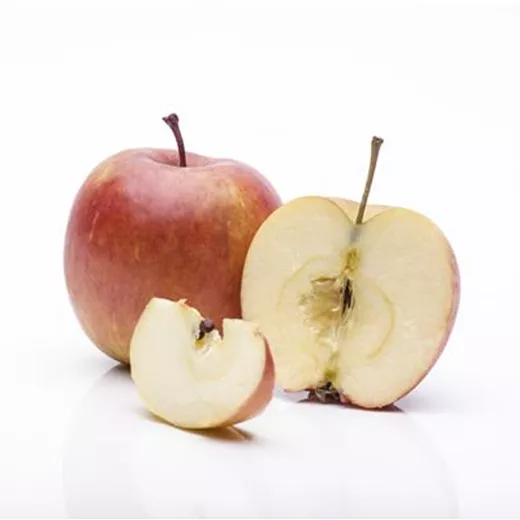 Malus Säule 'Rhapsodie' -S- CAC