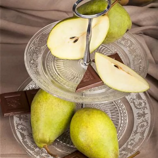 Pyrus com.'Köstliche von Charneu' CAC Pyrus com.'Köstliche von Charneu' CAC