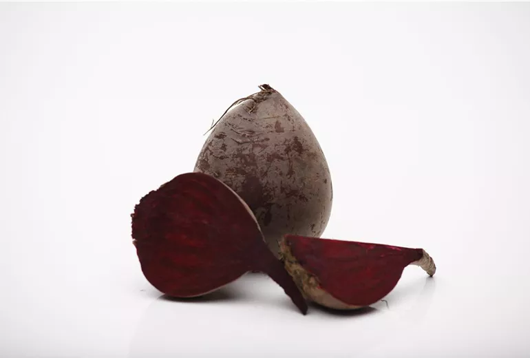 Rote Beete