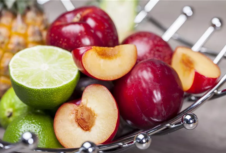 Citrus x aurantifolia Citrus x aurantifolia