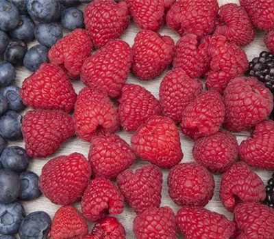 Beerenlust Beerenlust