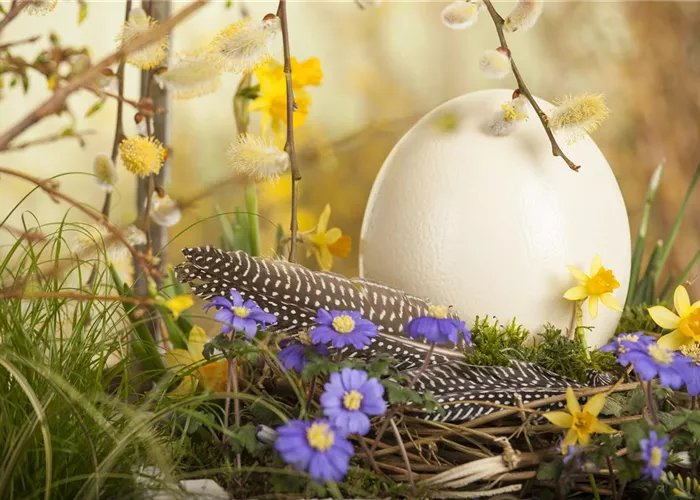 Das Garten-Paradies für Osterhase und Co.