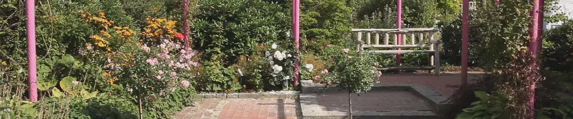 Gartengestaltung - Immergrüner Garten (thumbnail) Gartengestaltung - Immergrüner Garten (thumbnail)