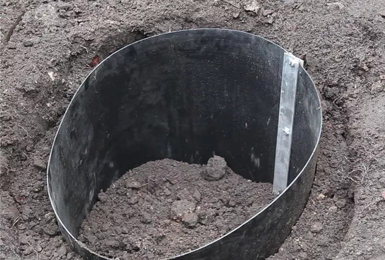 Bambus - Einpflanzen im Garten (Anleitung - 4)