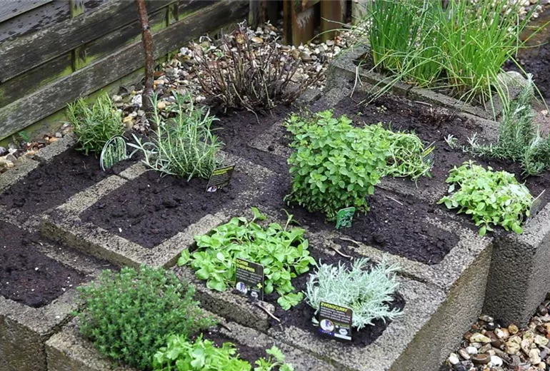 Kräuter - Einsetzen in Pflanzsteine (1) Kräuter - Einsetzen in Pflanzsteine (1)