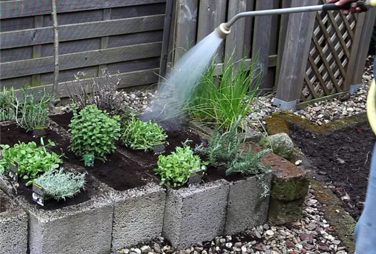 Kräuter - Einsetzen in Pflanzsteine (5) Kräuter - Einsetzen in Pflanzsteine (5)