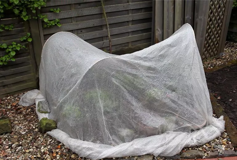 Kräuter - Einsetzen in Pflanzsteine (6) Kräuter - Einsetzen in Pflanzsteine (6)