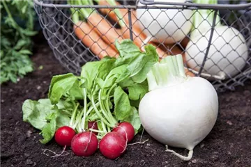 Erntegut haltbar machen