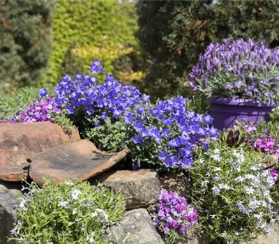 Vom Grünschnabel zum Profi-Gärtner: die perfekte Beetgestaltung  Vom Grünschnabel zum Profi-Gärtner: die perfekte Beetgestaltung