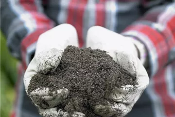 Intensive Pflege zahlt sich aus: den Garten effektiv düngen Intensive Pflege zahlt sich aus: den Garten effektiv düngen