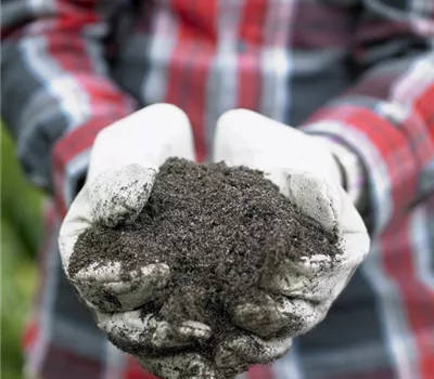 Intensive Pflege zahlt sich aus: den Garten effektiv düngen Intensive Pflege zahlt sich aus: den Garten effektiv düngen