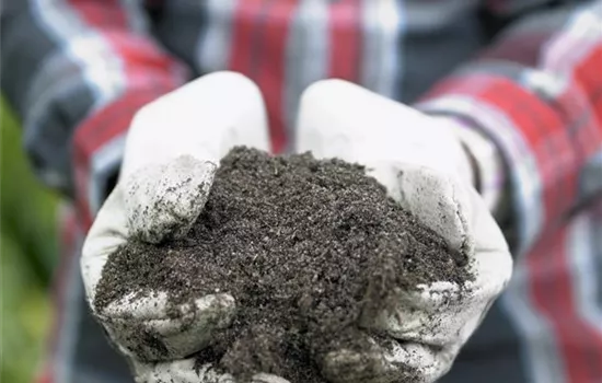 Intensive Pflege zahlt sich aus: den Garten effektiv düngen Intensive Pflege zahlt sich aus: den Garten effektiv düngen
