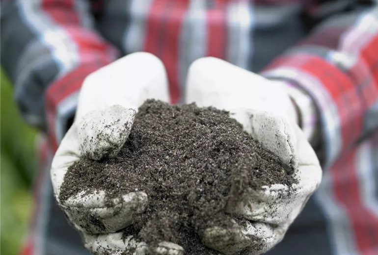 Visi44138 Erden Visi44138 Erden