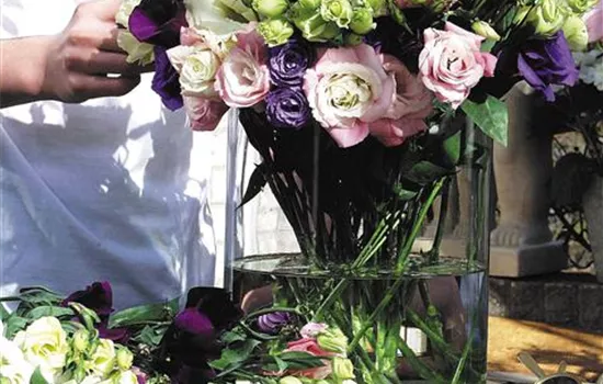 Vorbereitung ist alles: schick machen bevor's in die Vase geht Vorbereitung ist alles: schick machen bevor's in die Vase geht