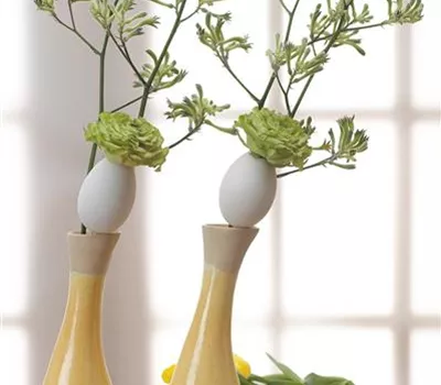 Eine Vase ist mehr als nur eine Vase Eine Vase ist mehr als nur eine Vase