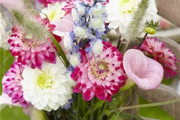 Beauty-Kur für den Blumenstrauß: Pülverchen und Hausmittel Beauty-Kur für den Blumenstrauß: Pülverchen und Hausmittel