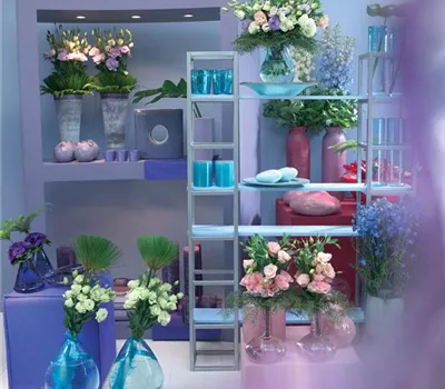 Grünes Shopping-Vergnügen Grünes Shopping-Vergnügen