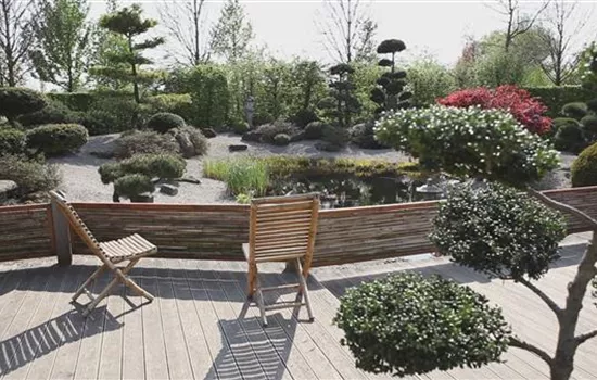 Gartengestaltung - Koi Zen Garten Gartengestaltung - Koi Zen Garten