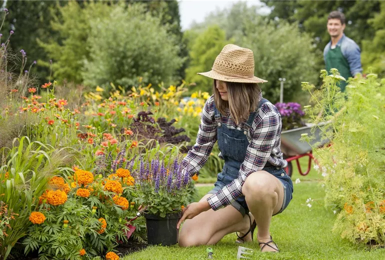 Frau beim Pflanzen Frau beim Pflanzen