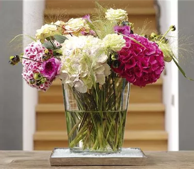 Damit der Blumenstrauß in der Vase nicht schlapp macht Damit der Blumenstrauß in der Vase nicht schlapp macht