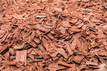 Der Mulch macht’s Der Mulch macht’s