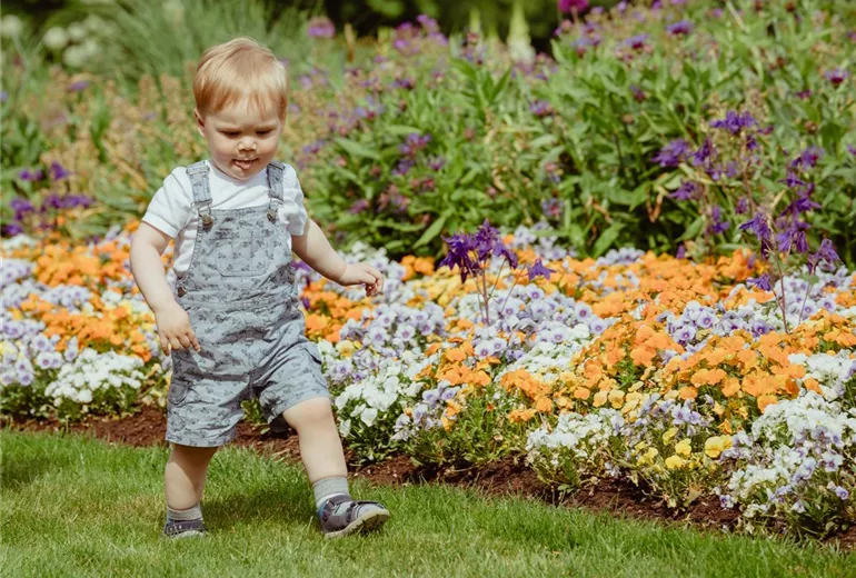 Kleiner Junge im Garten Kleiner Junge im Garten