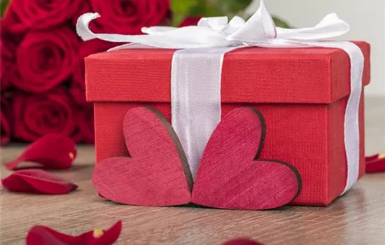 Grüne Geschenkideen zum Valentinstag! Grüne Geschenkideen zum Valentinstag!