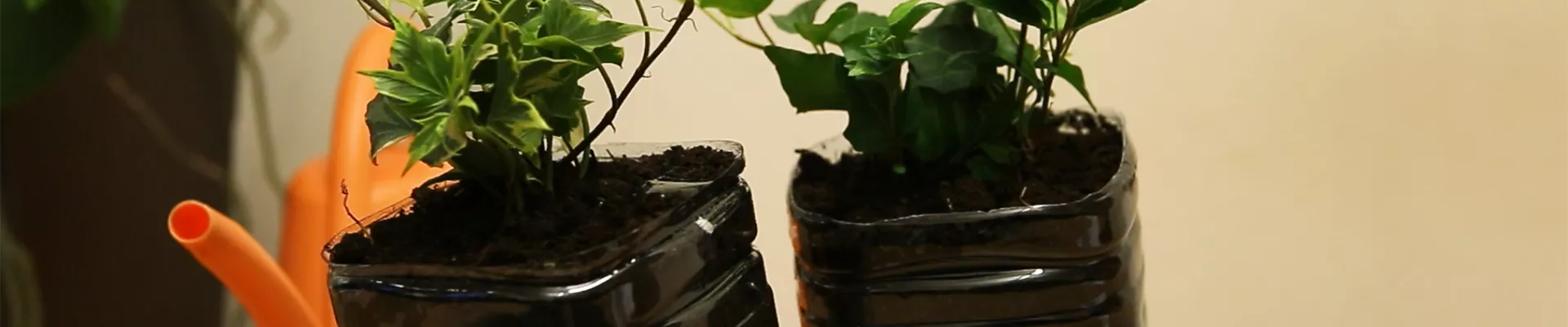 DIY Urlaubsbewässerung (thumbnail) DIY Urlaubsbewässerung (thumbnail)