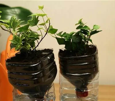 Wie machst du das? - Selbstbewässerungstopf bauen Wie machst du das? - Selbstbewässerungstopf bauen