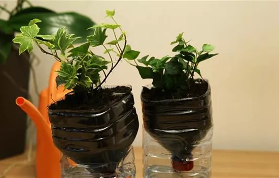 Wie machst du das? - Selbstbewässerungstopf bauen Wie machst du das? - Selbstbewässerungstopf bauen