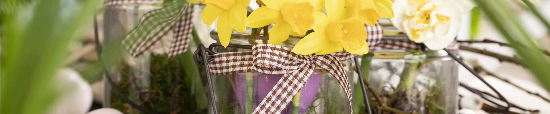 Osterambiente mit Narzissen