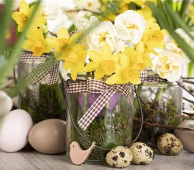 Ein buntes Osterfest lockt mit passenden Frühlingsblumen