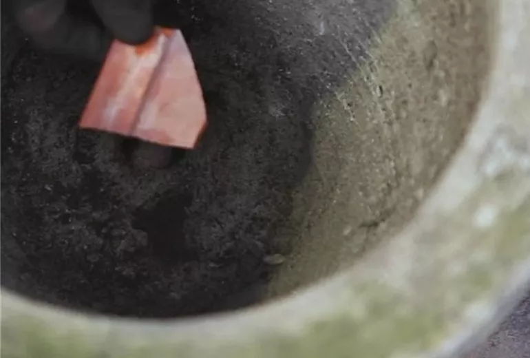 Vergissmeinnicht – Einpflanzen in ein Gefäß 1