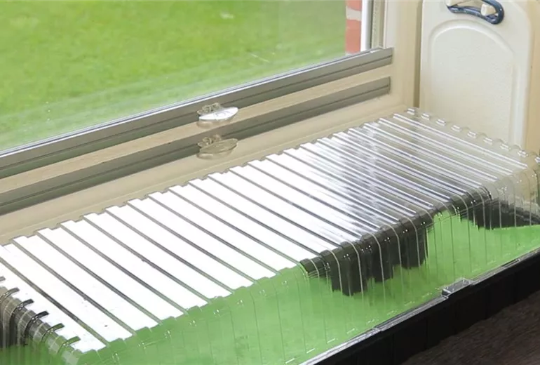 Basilikum - Aussäen von Samen (5)