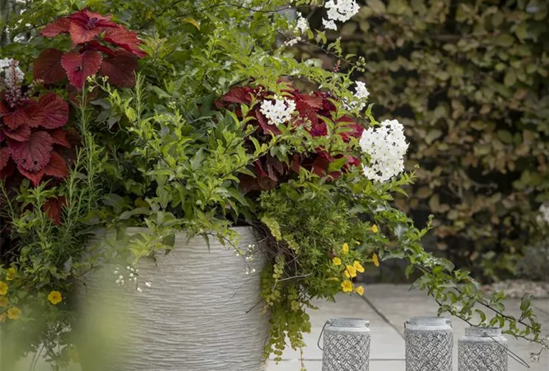 Laternen im Garten Laternen im Garten