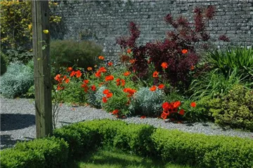 Stauden – pflanzen, pflegen, lieben Stauden – pflanzen, pflegen, lieben