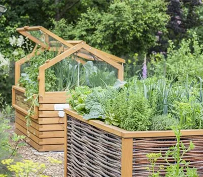 Hoch hinaus! Ein Hochbeet für Gemüse und Co. Hoch hinaus! Ein Hochbeet für Gemüse und Co.