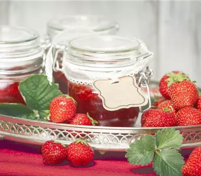 Vom Strauch auf den Frühstückstisch – nach der Ernte kommt der Genuss Vom Strauch auf den Frühstückstisch – nach der Ernte kommt der Genuss