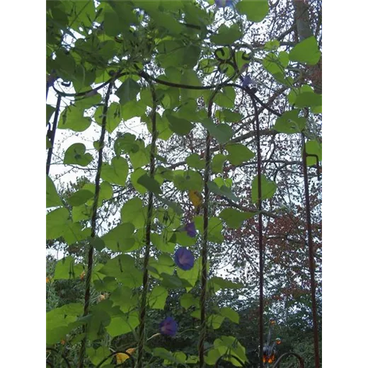 Paraventgitter "Peter und Paul"