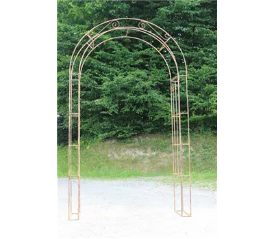 Rosenbogen, Rundbogen 'Saint Denis' Rosenbogen, Rundbogen 'Saint Denis'