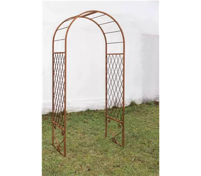 Rosenbogen Rundbogen, criss-cross Rosenbogen Rundbogen, criss-cross