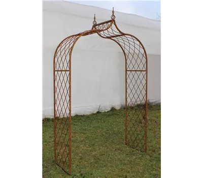 Rosenbogen Spitzbogen, criss-cross Rosenbogen Spitzbogen, criss-cross