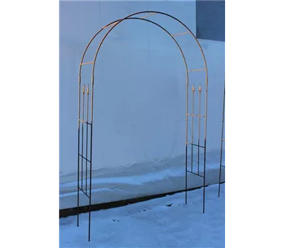 Rosenbogen, Rundbogen 'Roma' Rosenbogen, Rundbogen 'Roma'