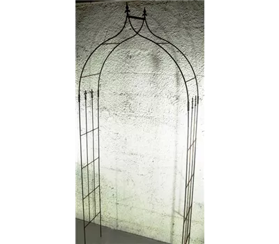 Rosenbogen, Spitzbogen 'Reims' Rosenbogen, Spitzbogen 'Reims'