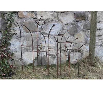Pflanzenstütze "arbusto", edelrost